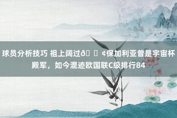 球员分析技巧 祖上阔过😢保加利亚曾是宇宙杯殿军，如今混迹欧国联C级排行84