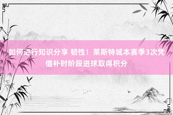 如何进行知识分享 韧性！莱斯特城本赛季3次凭借补时阶段进球取得积分