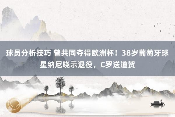 球员分析技巧 曾共同夺得欧洲杯！38岁葡萄牙球星纳尼晓示退役，C罗送道贺