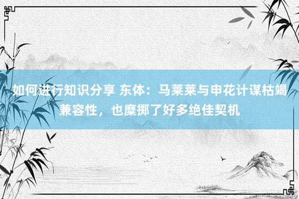 如何进行知识分享 东体：马莱莱与申花计谋枯竭兼容性，也糜掷了好多绝佳契机