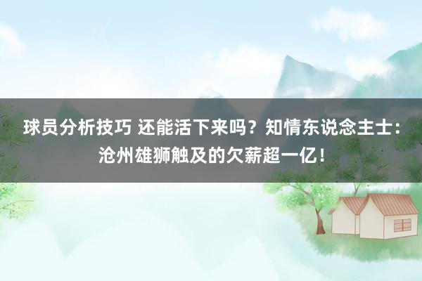 球员分析技巧 还能活下来吗？知情东说念主士：沧州雄狮触及的欠薪超一亿！