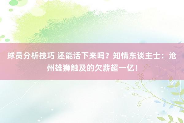 球员分析技巧 还能活下来吗？知情东谈主士：沧州雄狮触及的欠薪超一亿！