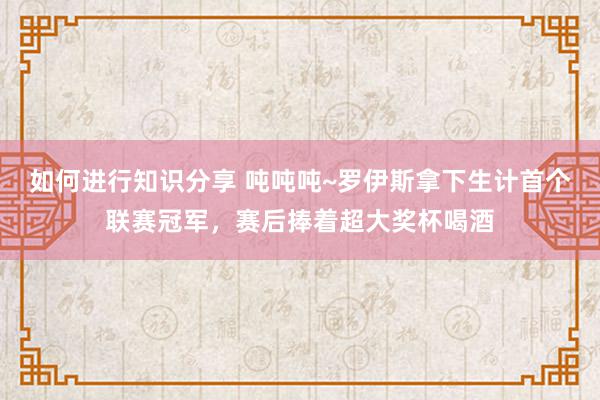 如何进行知识分享 吨吨吨~罗伊斯拿下生计首个联赛冠军，赛后捧着超大奖杯喝酒